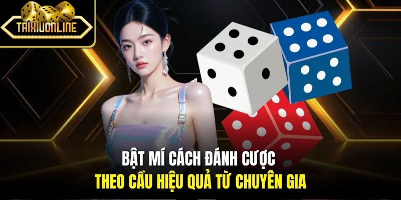 Bật mí cách đánh cược theo cầu hiệu quả từ chuyên gia